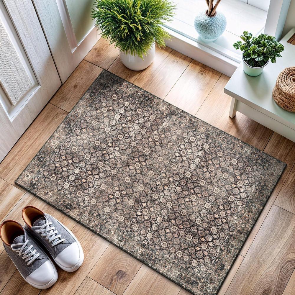 image:imageCAMILSON Printed Bathroom Rugs Oriental Retro Vintage Floral Area Rug 2x3 NonShedding Ultra Thin Super Strong Stain Resistant Indoor Carpet for Hallway Kitchen 2 x 3  Wood Beige